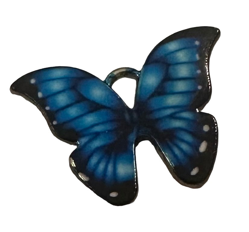 Blue/black/white butterfly